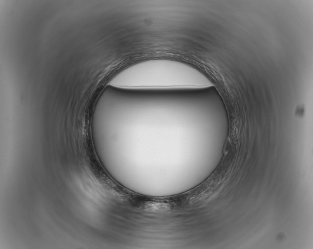 X0000096490220200801241218