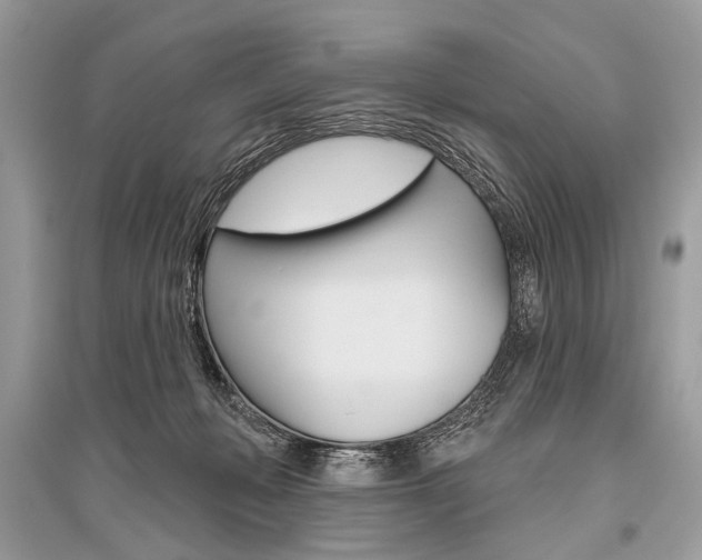X0000096490222200801241218