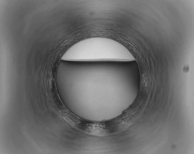 X0000096490223200801241218