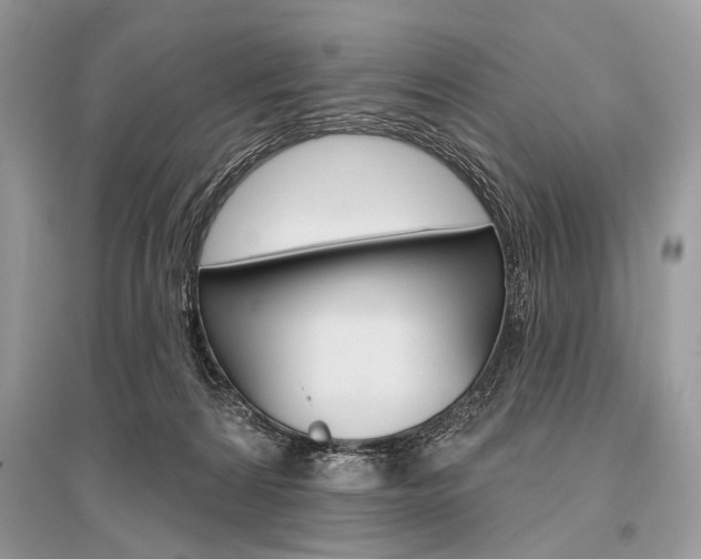 X0000096490224200801241218