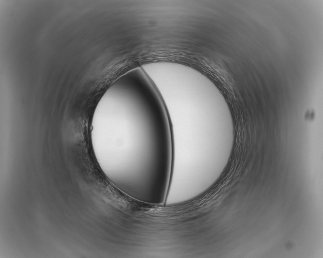 X0000096490225200801241218