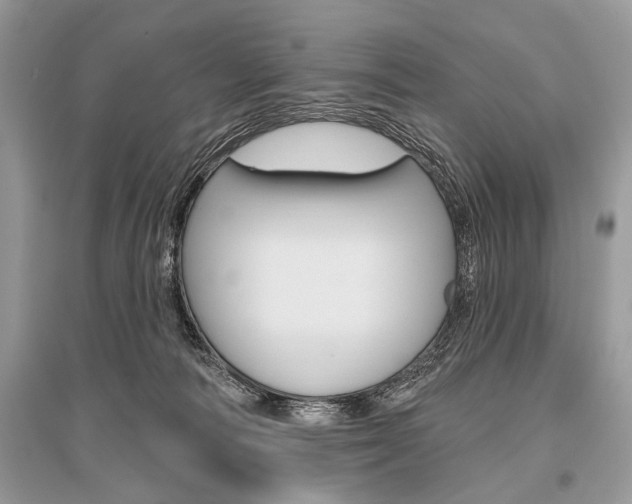 X0000096490226200801241218