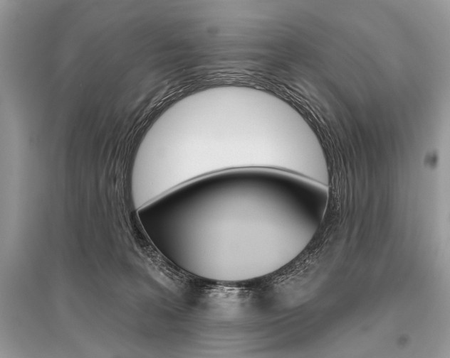 X0000096490227200801241218