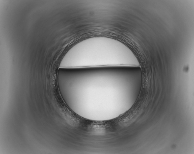 X0000096490228200801241218