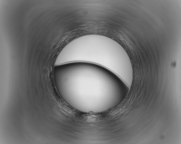 X0000096490229200801241218
