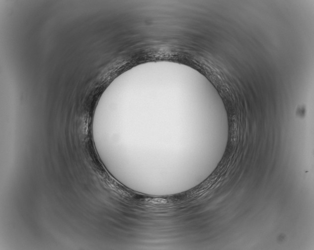X0000096490230200801241218