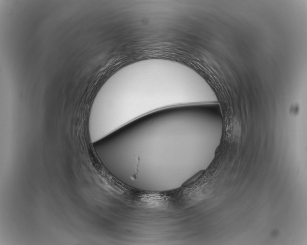 X0000096490231200801241218
