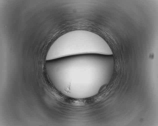 X0000096490232200801241218