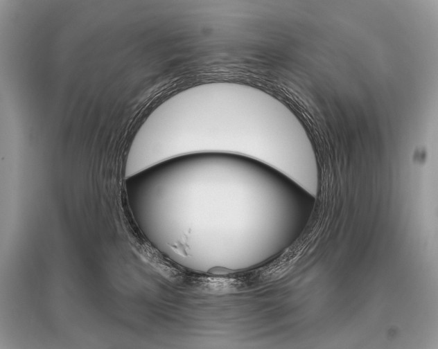 X0000096490233200801241218