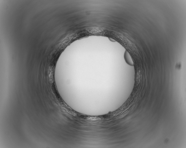 X0000096490234200801241218