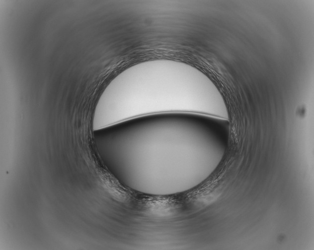 X0000096490235200801241218