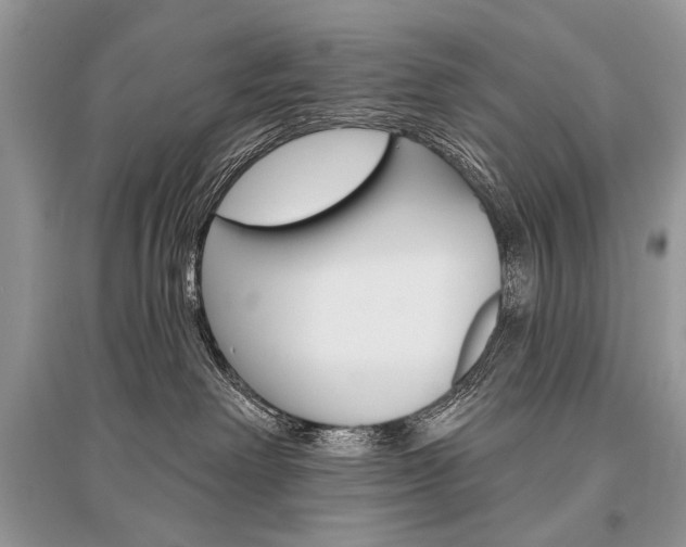 X0000096490238200801241218