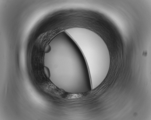 X0000096490239200801241218