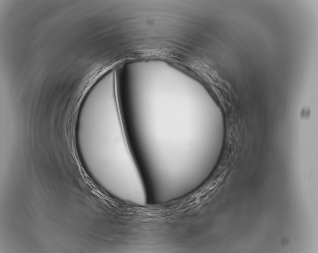 X0000096490241200801241217