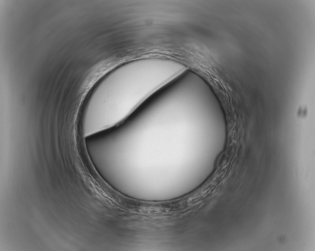 X0000096490242200801241217