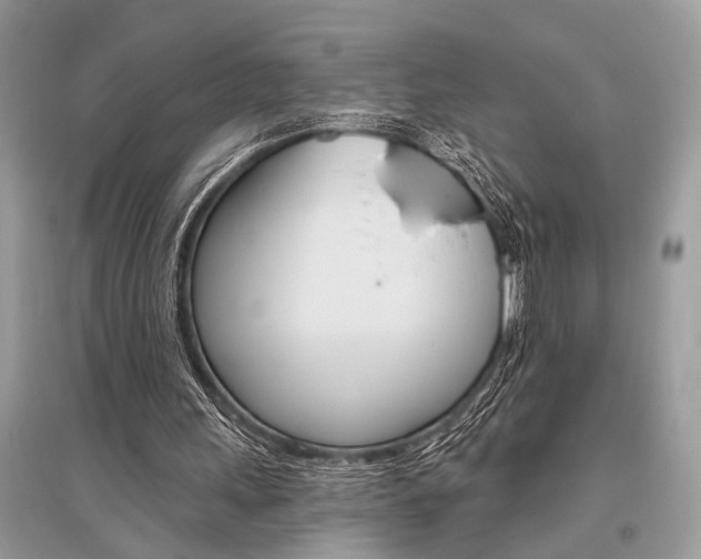 X0000096490243200801241217