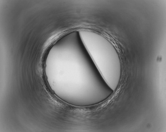 X0000096490245200801241217