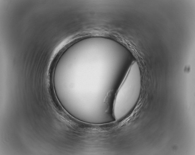 X0000096490246200801241217