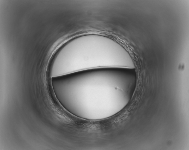X0000096490247200801241217