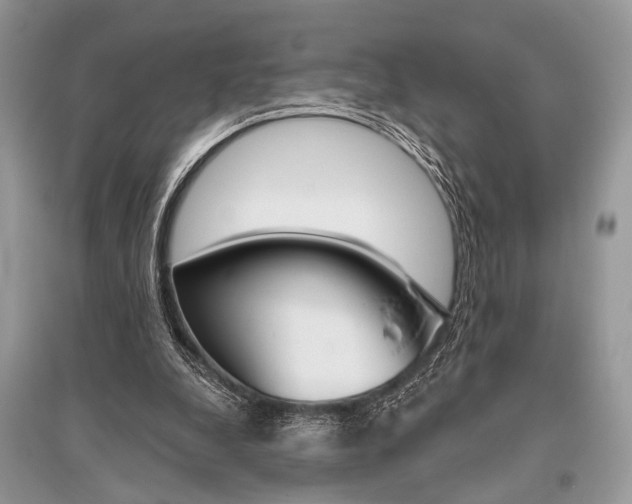 X0000096490248200801241217