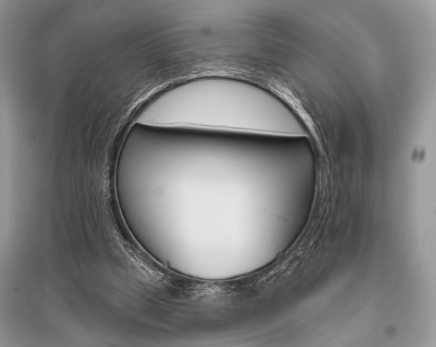 X0000096490249200801241217