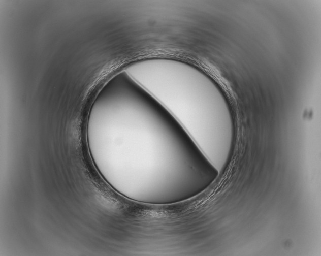 X0000096490250200801241217