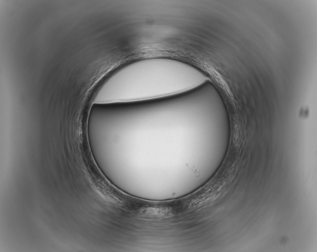 X0000096490251200801241217