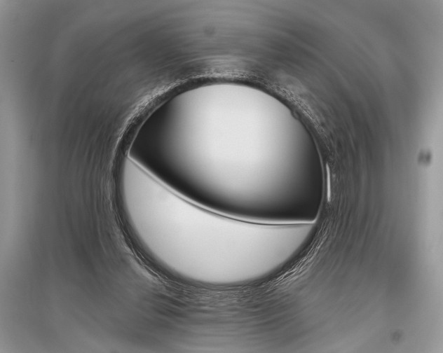 X0000096490252200801241217