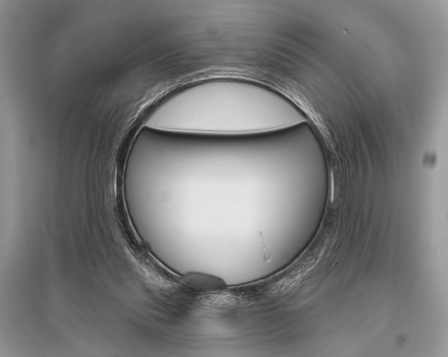 X0000096490253200801241217