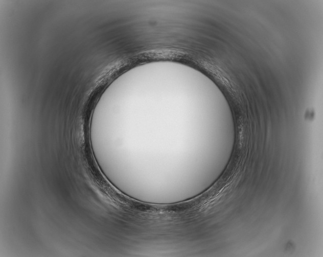 X0000096490254200801241217