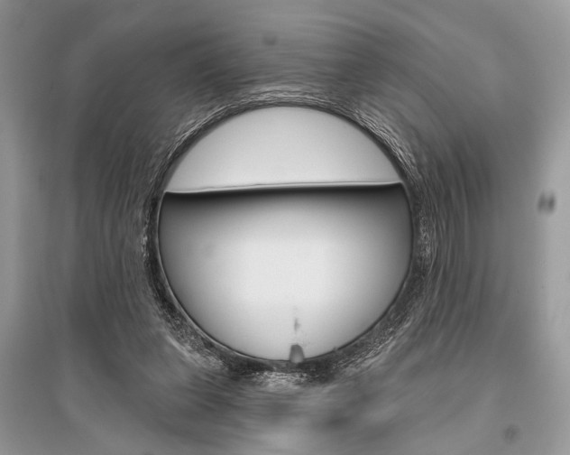 X0000096490255200801241217