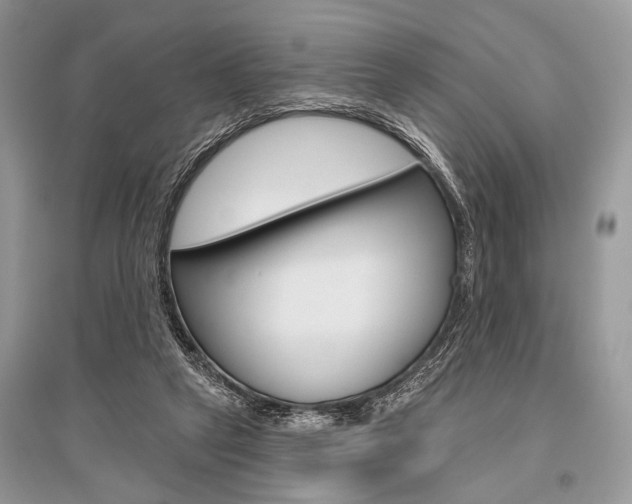 X0000096490257200801241217