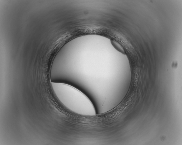 X0000096490258200801241217