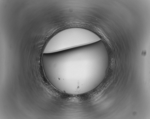 X0000096490259200801241217
