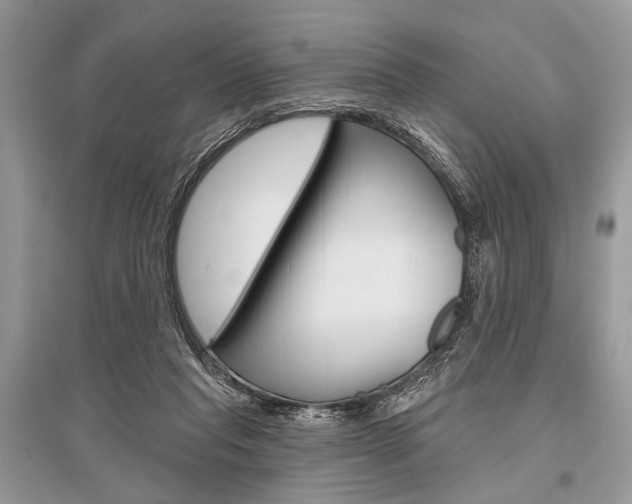 X0000096490261200801241217