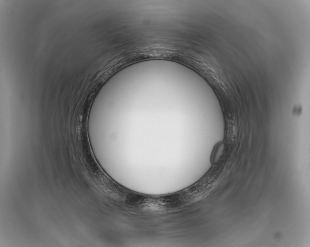 X0000096490263200801241217