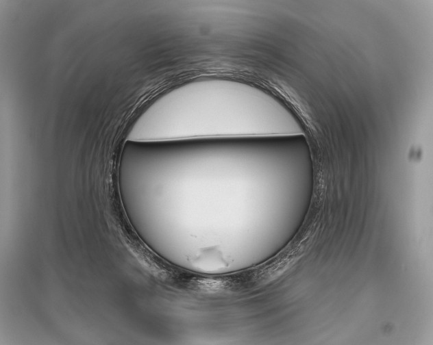X0000096490265200801241217