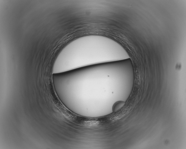 X0000096490266200801241217