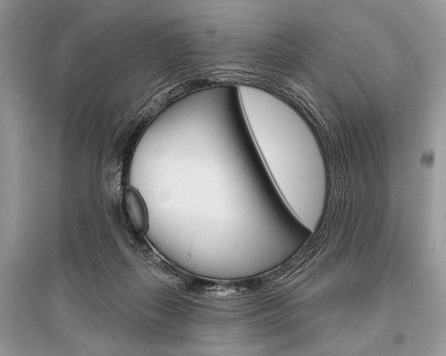 X0000096490267200801241217
