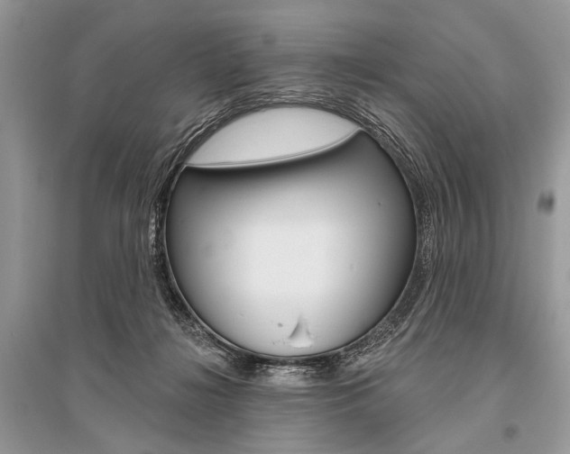 X0000096490268200801241217