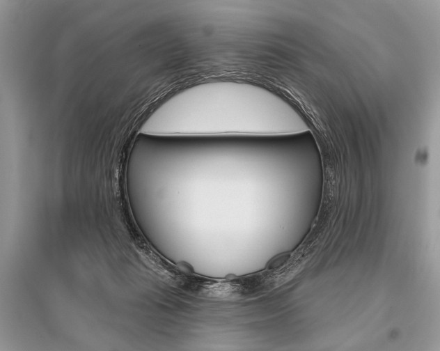 X0000096490269200801241217