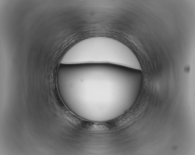 X0000096490270200801241217