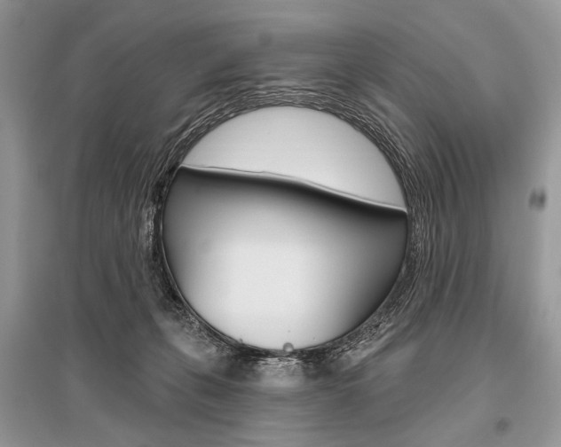 X0000096490271200801241217