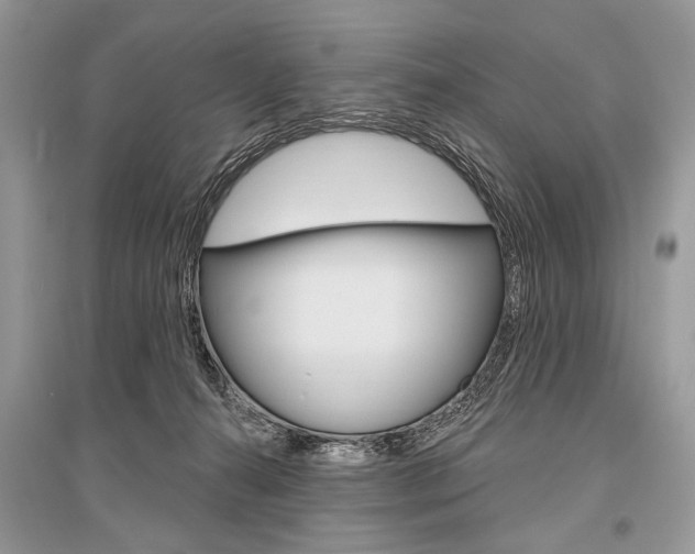 X0000096490272200801241217