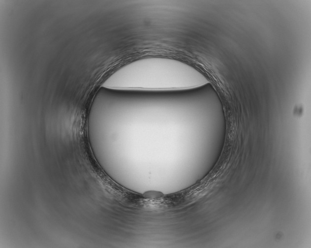 X0000096490273200801241217