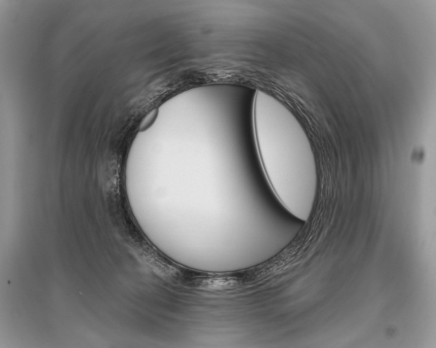 X0000096490274200801241217