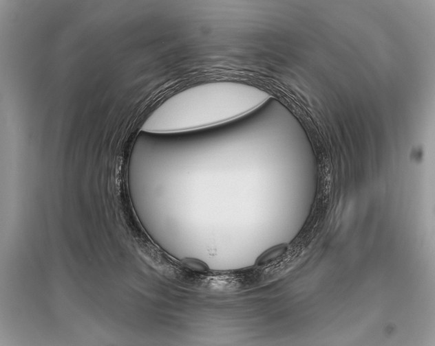 X0000096490275200801241217