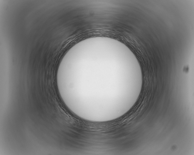X0000096490276200801241217