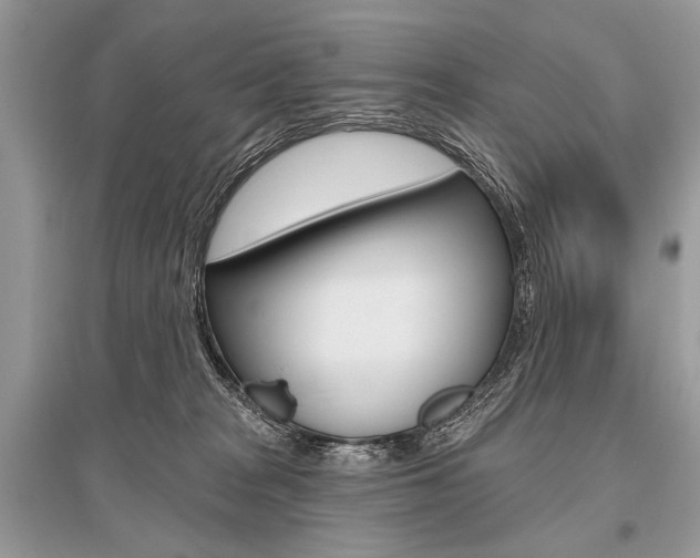 X0000096490277200801241217