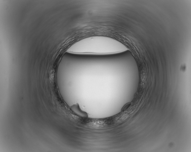 X0000096490278200801241217